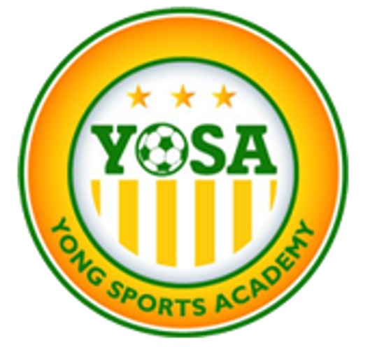 Yong Sports Academy 
